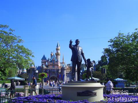 ��ɼ����˹����԰